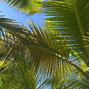 Meet your Posher, Claire